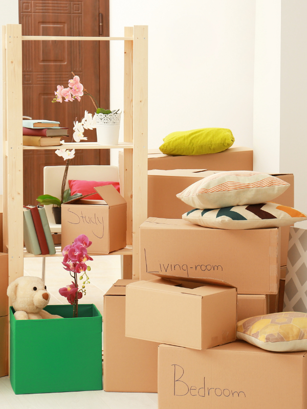 moving boxes with pillows and other living room furniture