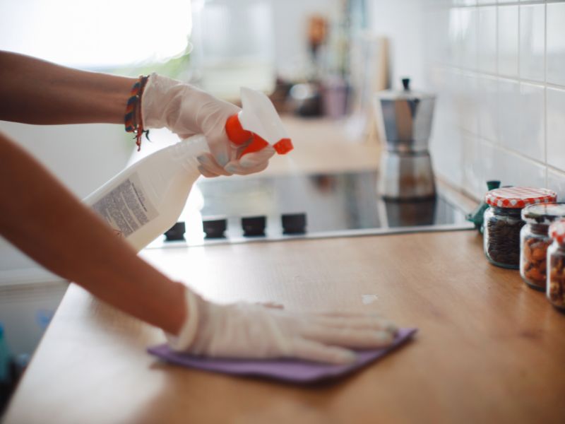 Keep Your Wyandotte, MI Home Gleaming with Our Monthly Cleaning Services