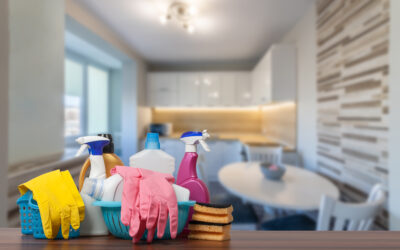 5 Spring Cleaning Tips from Professional House Cleaners in Woodhaven MI