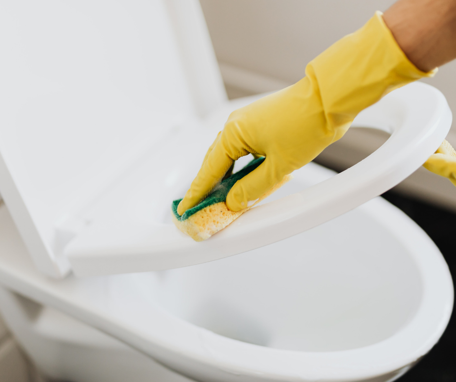 house cleaner scrubbing, deep cleaning toilet house cleaner scrubbing, deep cleaning toilet