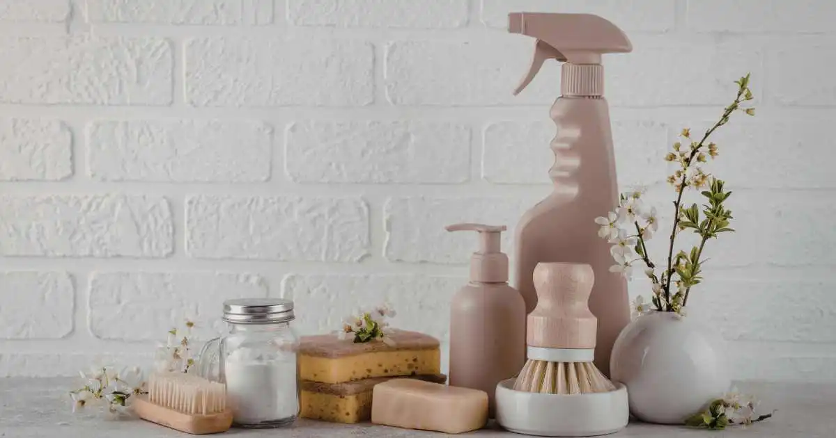 clean and organized living space after professional house cleaning